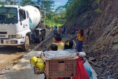 126902970_424538975240607_7986828002464910603_n