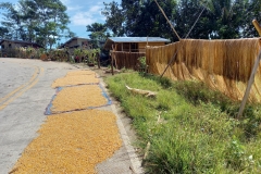 127856745_215832616567873_1340815976037806671_n