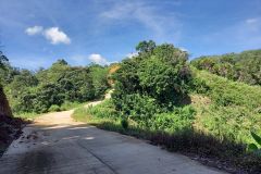 127900074_979383022550879_2814063494506411240_n