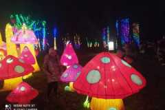 WhatsApp-Image-2022-12-06-at-19.09.57