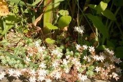 9a4ab693-bbf5-4a1f-acdc-24f2e0d59b1e