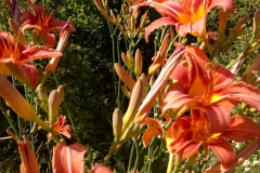 aa1a08b7-ae60-4324-b17e-5b6e6c4082c0