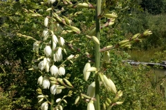 be56c993-010b-48d6-8838-0448b3e54eb4