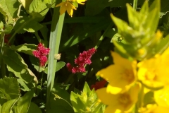 d15ea798-2f2c-4949-b68b-f54a640ff360