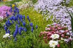 WhatsApp Image 2018-04-28 at 13.15.06 (2)