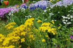 WhatsApp Image 2018-04-28 at 13.15.06 (3)