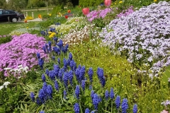 WhatsApp Image 2018-04-28 at 13.15.06