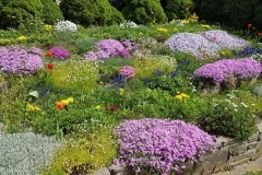 WhatsApp Image 2018-04-28 at 13.15.07