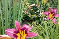 34984292_666327727041540_2699914522138771456_n