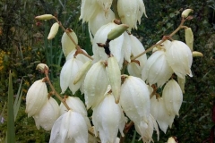 36045417_666327373708242_779033022258216960_n