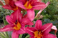 36064297_666327910374855_6954295034321567744_n