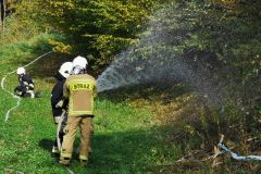 71868091_2702153869815020_6265021270862069760_n