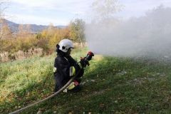 72045675_2467022120285268_3149291259487584256_n