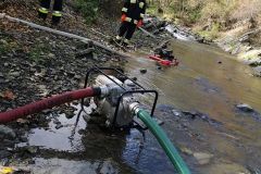 72073171_526449444818259_1641867749883904000_n