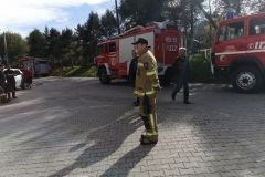 72183724_581330199278675_5893460918485909504_n