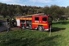 72447879_412227006389195_6443678114940715008_n