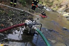 72481170_453748868821494_2506989775227977728_n