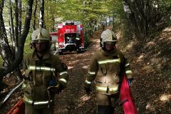 72565818_644925402582211_1407471447302995968_n