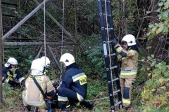 385544812_3378034815841633_1354016121558026334_n