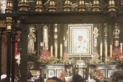 419907791_1760074444416239_2039596663709322005_n