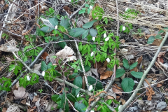 1_Zrzut-ekranu-2022-04-18-213616