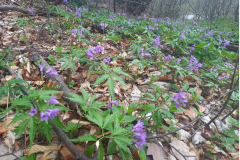 Zrzut-ekranu-2022-04-18-212324