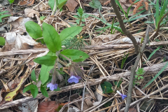 Zrzut-ekranu-2022-04-18-212412