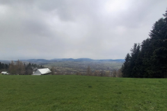 Zrzut-ekranu-2022-04-18-213032