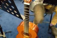 db0e3798-b403-4a61-a44e-537e699e5fd8