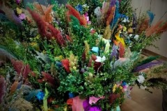 336116353_130787943122901_7244586862643989621_n