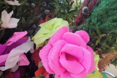 336370398_160516783571987_2404903768212702189_n