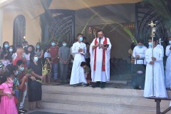 166226251_887238548731631_2055656297964110583_n