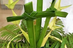 165680739_206044311294469_587602842706966889_n