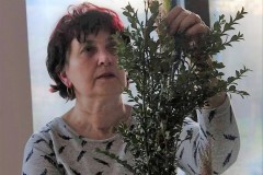 278051842_709729337046827_4558862511337048453_n