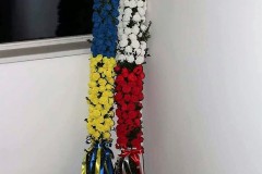 278064617_709729883713439_3050463986660664078_n