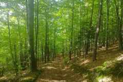 381913975_1012633759972635_4326796060729733100_n