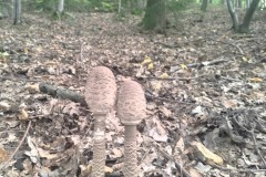 384539340_1491584828333516_6205033328445838808_n