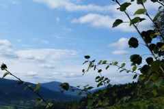 385398082_851049360045521_644780159724954977_n