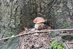 385437548_983778802719331_3101164127404581360_n