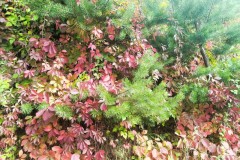 385445954_1347213639265173_1080058785122722620_n