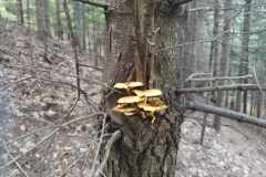 385533478_852069413279361_8524164178786349463_n