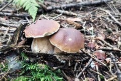 386430768_857636975772948_2180785831375224858_n