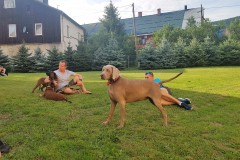 2019-07-27-17.27.07-1