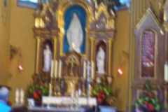 446040228_1131640918088907_568621833574441191_n