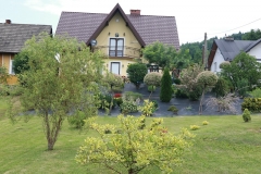 Piękno wokół nas 2017 019