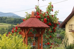 Piękno wokół nas 2017 030