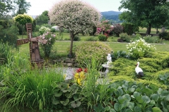 Piękno wokół nas 2017 117 (1)