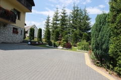 Piękno wokół nas 2017 144 (1)