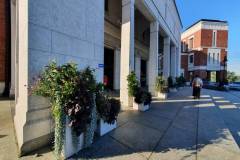 signal-2022-10-08-16-52-41-699