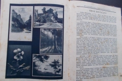 6) KOLEKCJA PRYWATNA TYMBARK